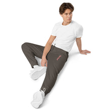 Load image into Gallery viewer, Unisex pigment-dyed sweatpants